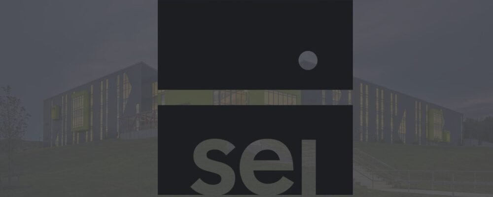 SEI Internships