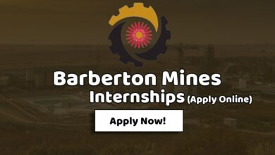 Barberton Mines Internships
